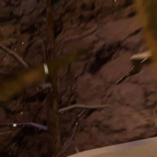 quest 2 pretty good lowkey#gorillatag #oculusquest #fearinggorilla #quest2 #vr #pcvr #edit