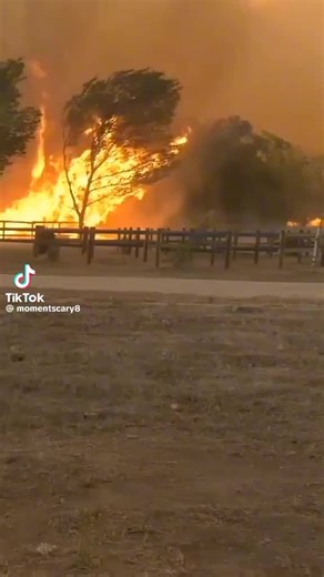 ceilling design on TikTok