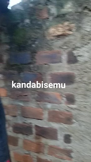 #gazza #gazza #tulabise