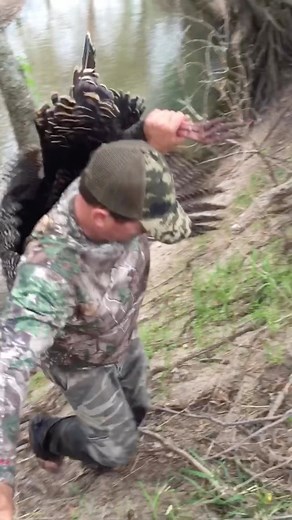 Gabriel Arrington on Instagram: "When he thinks he can slip in the back door and not get caught but doesn’t realize your shootin them new 20 gauge #9’s 🤣 #reels #youtube #bluegabe #turkey #hunting #rio"