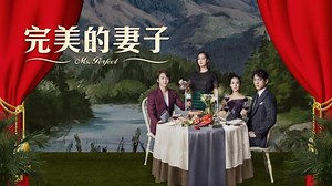 完美的妻子