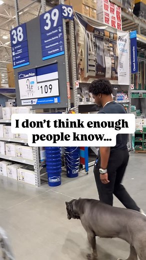 1.7K views · 19 reactions | The e collar just like any tool is a form of communication but it needs to be taught. So please don’t slap an e collar on your dog and think they will automatically listen . - she also had a leash just took it off for the video before the leash police come get us 﫡 #ecollar #lowes #offleash #canecorso | Sabali Empire LLC | Facebook