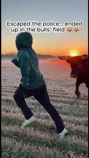 Alien bro ended up in the bulls’ field 😂 #alien #funny #memes #alienstory #memes #journey #viral