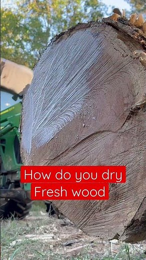 How do you dry fresh wood without cracking it #lumber #drying #sealingwax