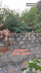  270 SQ YDS PLOT FOR SALE IN LB NAGAR less than MARKET PRICE for LOW COST PROMOTION- 9391940028  more Updates Follow #2BHK #3bhkflats #flats #flatsforsale #house #houseforsale #property #sale #hyderabad #viralreels #viralpost #trendingnow #facebookviral #facebookvideo #FacebookPage #realestate #videoviral #viral #plots #independenthouse #reels #flatsale #realestate | Hyderabad Listings | Facebook