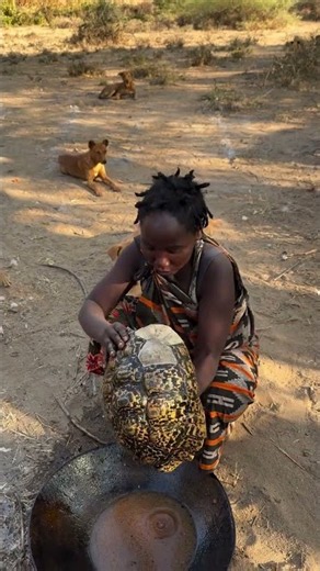 Hadzabe tribe bushmen prepare unique ancient lunch today in the bush
