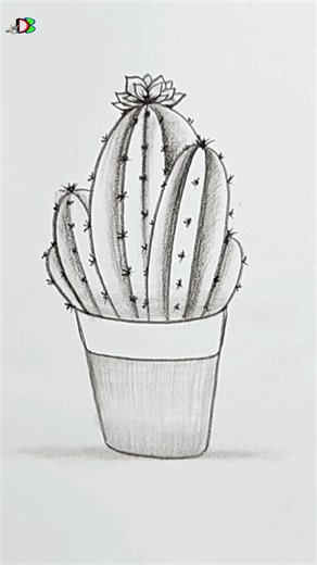 Easy pencil sketch, cactus #drawing #pencilsketch | Drawing Book