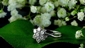 Take the time to enjoy the Earth's natural beauty, and smile that you're a part of it. Link to Ring: http://bit.ly/2dem4TS | Ice.com