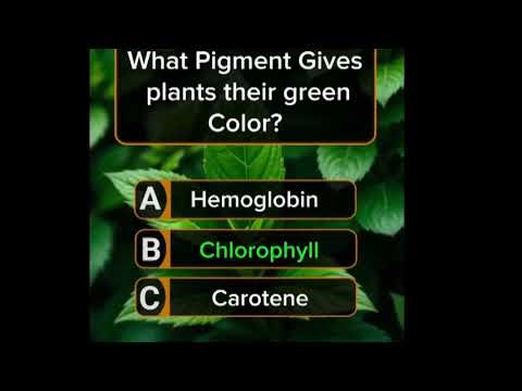 Biology questions with answers | General Science | General knowledge #gkquestion #biology #neet