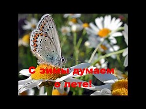 Потешимся.Веселая логоритмика