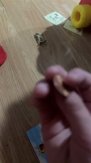 How to always win coin flip ￼