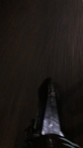 j dog (@j.dog527)’s videos with original sound