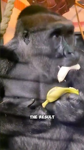 Why Cavendish Bananas Are Always Perfect 🍌😳 (The Hidden Truth)
