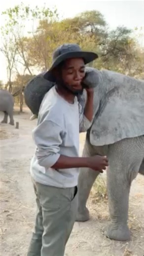 More kisses if you shave Gee! | Elephant Havens Wildlife Foundation