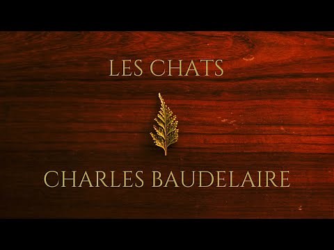 LES CHATS - Charles BAUDELAIRE - Lecture de poème - Les Fleurs du Mal