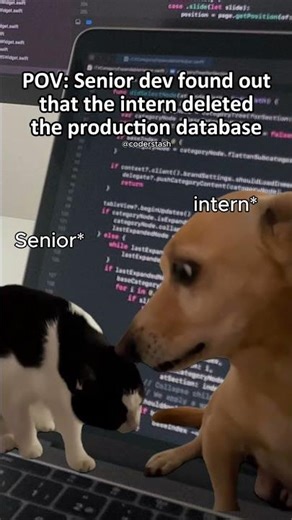 POV : Senior Dev found Out that the intern deleted Production Database 😨|| #shorts #funny #memes