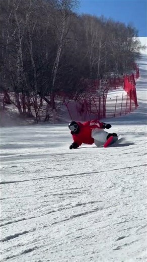 Red Tree's 8th Quarter Unveiled: Dive into the Urban-Wild Adventure