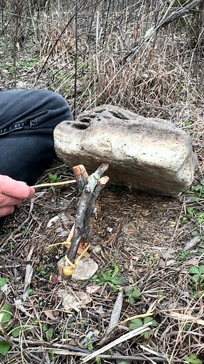5.4K views · 81 reactions | Paleo-tech Paiute Deadfall Trap. Full video on my YouTube channel. Note: this is merely a demonstration. The rock size is insufficient for game larger than a rat. #paleotech #primitiveskills #trapping #survivalskills #ancientways | Paleo Foraging | Facebook