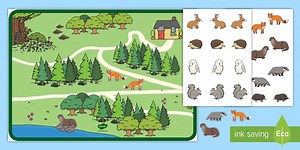 Woodland Animal Habitats Activity