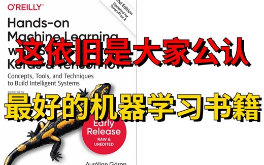 【被网友称为神作！】豆瓣9.6分的机器学习书籍，从基础到实战通通都有讲解到！！-人工智能/AI/计算机视觉