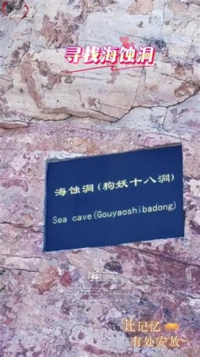 寻找海蚀洞 寻找海蚀洞！海蚀洞、海蚀崖、海蚀礁是养马岛独特的海蚀地貌景观！两步路明明到了就是看不到，只有下到底部才能看到它的全貌！有两个小伙子也在找，走错了方向，我把他们喊了过来！出门在外，能善意的提醒总是好的！#记录真实生活 #海边 #烟台 @抖音作者助手