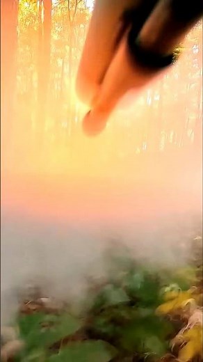 Public Land Muzzleloader Hunt #deerhunting #shorts