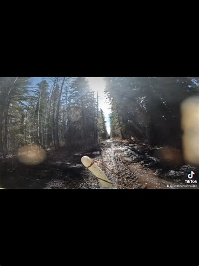 Disco rides Enjoy life Don't take it hard start soft