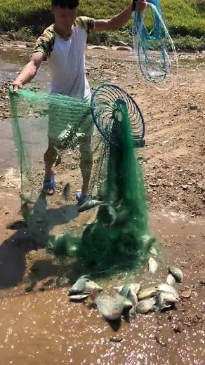 Catching Fish Using Cast Net Fishing / Net Catch Fishing 🐠🐠#Reels #fishing #skill #castnetfishing | Daily Discovery