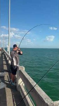 Catching Gags mackerel Fishing #skywaymisfits #fyp #my #fishing #fish