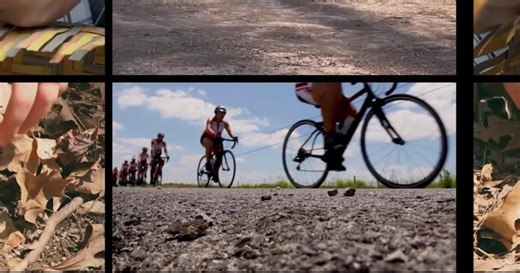 Employee training targets human trafficking