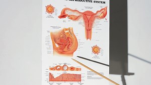 Where do farts go after you fart? [2025] | QAQooking.wiki