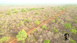 60K views · 2.3K reactions | Mole, the unseen creatures about Ghana's biggest national park. Mole National Park | Goshers | Facebook