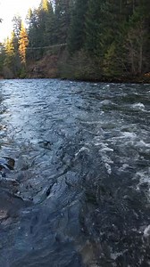 La naturaleza en su esplendor 🩵💙💦 #sederismo #AmorPorLaNaturaleza #beautifulwashingtonstate #nuestrasaventuras #río | Yolanda Rivas