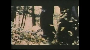 Confessions of a Blue Movie Star (The Evolution of Snuff): denouement