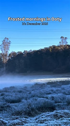 Bablu Kumar  on Instagram: "Frosted mornings in Ooty feel truly magical, with a delicate white layer covering the grass and leaves as the sun slowly rises. The crisp air, misty hills, and quiet surroundings create a calm, refreshing start to the day, making winter mornings in the Nilgiris unforgettable. ❄️ #ooty #ootyresort #snow"