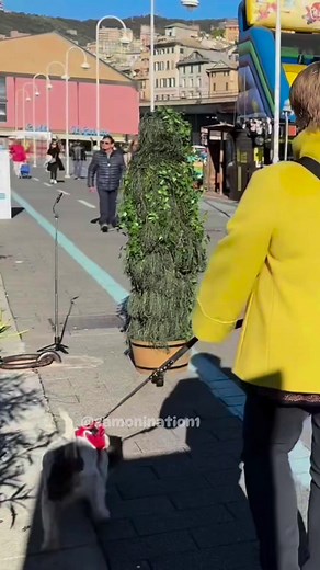 442K views · 2.3K reactions | These dogs keep peeing on me  #funny #funnyvideos #prank #fun #scary #bushmanprank https://youtu.be/LymLT6QYDII?si=A8CvWADeXHnKziLG Disclaimer: I have the full right to use this content as this content was created by me Zamonination1 | Zamonination1 | Facebook