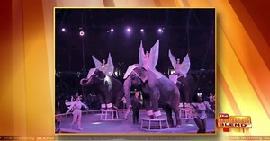 80th Anniversary of the Tripoli Shrine Circus