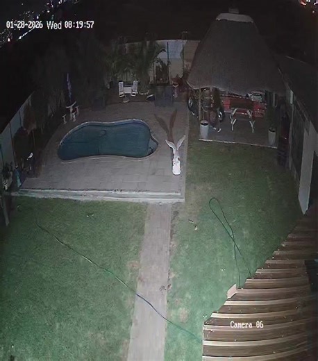 As Received: MORNING ON THE 28/01/2026 JUST AFTER 8 LAST NIGHT THEY BROKE INTO MY NEIGHBORS PLACE STOLE ALL 4 HIS HILUX BAKKIE WHEELS AND SOMETHING INSIDE BAKKIE,CLEARLY THEH KNEW,CAME FROM THE BACK FIELD OVER WALL,ALTERNA STRAND DIE BOSS,ANY LEADS ON CAMERA LINKS LET ME KNOW ,CASE WAS OPENED THANKS | Casmino Jacobs