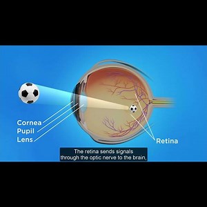 eye structure anatomy and physiology 3d animation video #nursing #anatomy