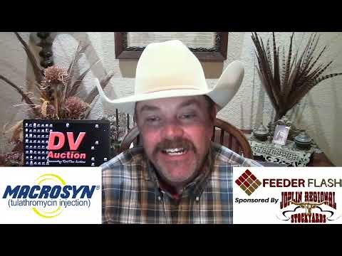 Feeder Flash 3/25: Record Breaker