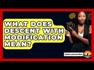 What Does Descent With Modification Mean? - The Documentary Reel