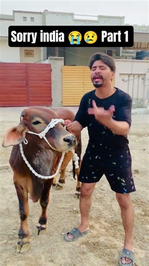 india sorry 😢😭 Part 1 _ Short story _ Eid ul adha 3rd day qurbani _ #camel #goat #qurbani #cow