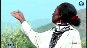 17K views · 830 reactions | A gift from God in Wajirat #Tigray "They tried to bury us, they didn’t know we were seeds." -- @iamathyb | Tigray Update | Facebook