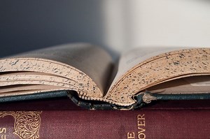 5 Contoh Artikel Ilmiah Populer Pendidikan: Pendek dan Sesuai Struktur - Sonora.id