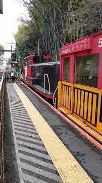 2026年3月20日 嵯峨野トロッコ列車今年で機関車、車両引退。 来年は新車両