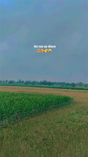 । y village is vary beautiful😍✨😍✨ 🧐🤓😎🥸🤩