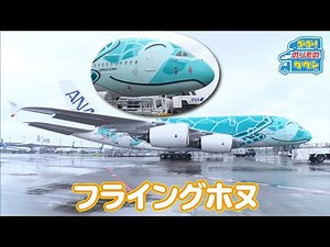 【のりもの図鑑】フライングホヌ（エアバスA380型機）