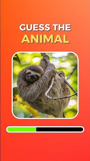 Guess the Animal 🐯 | Fun Animal Quiz Challenge 🦁 | Can You Name Them All?