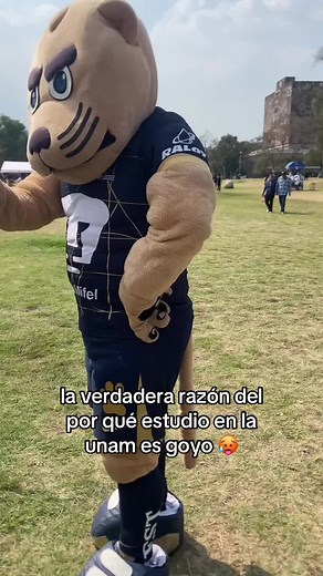 Descubre los Encantos de Goyo en la UNAM