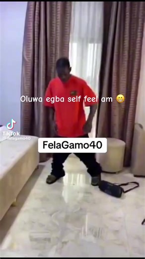 Oluwo egbe self feel am 😆 #djchicken #viral #partynextdoor #fyp #trending